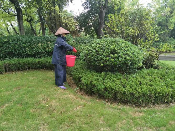 武汉区域咸宁北环境管理服务组9月第2周绿化工作